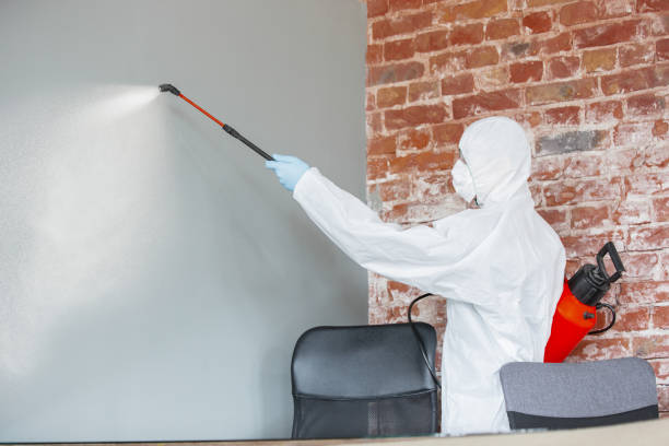 Best Forensic Mold Investigation  in Hanford, CA