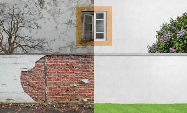 Best Basement Mold Removal  in Hanford, CA