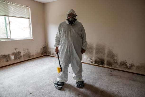 Best Post-Construction Mold Inspection  in Hanford, CA